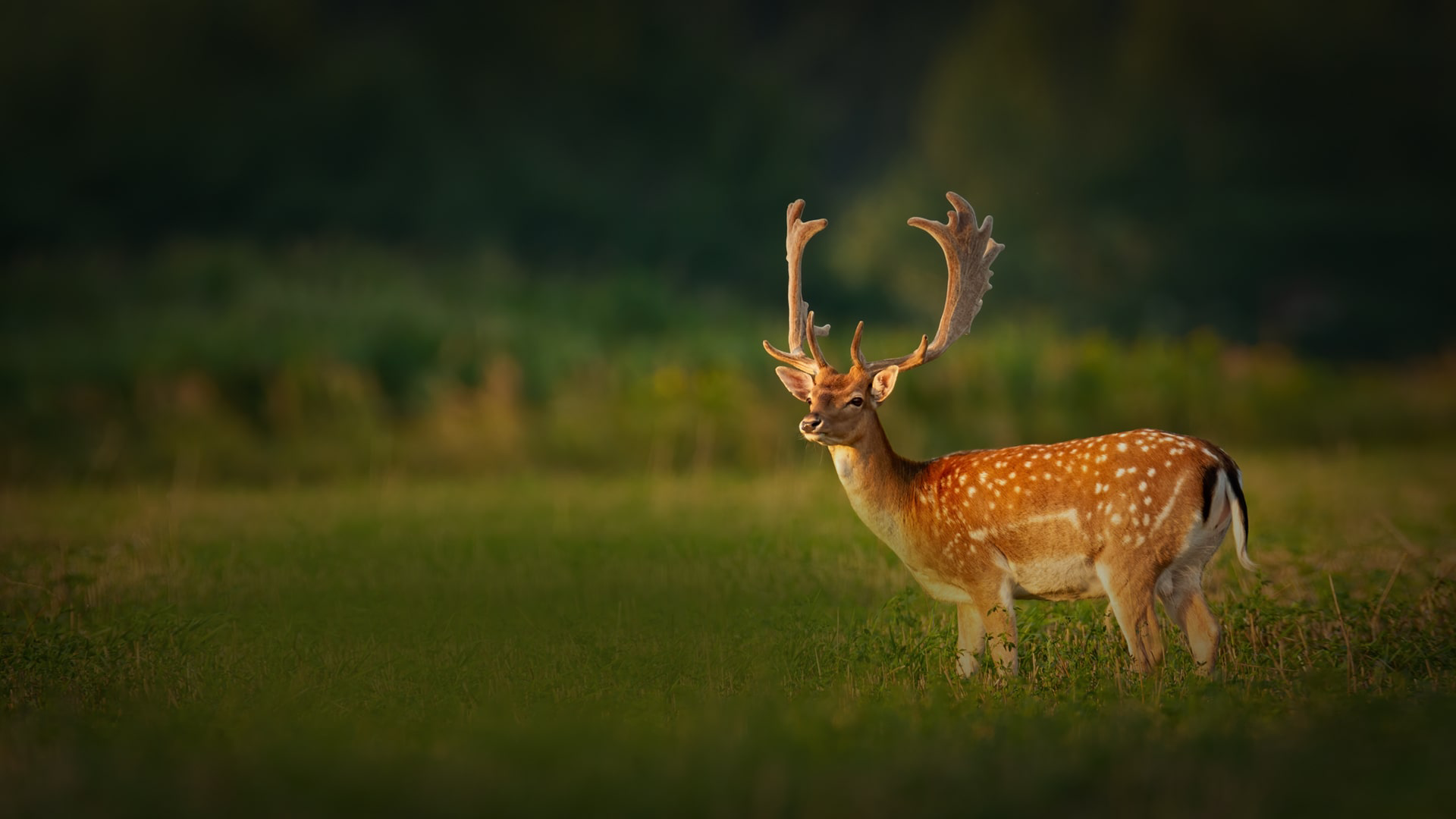 Interactive Slide 03