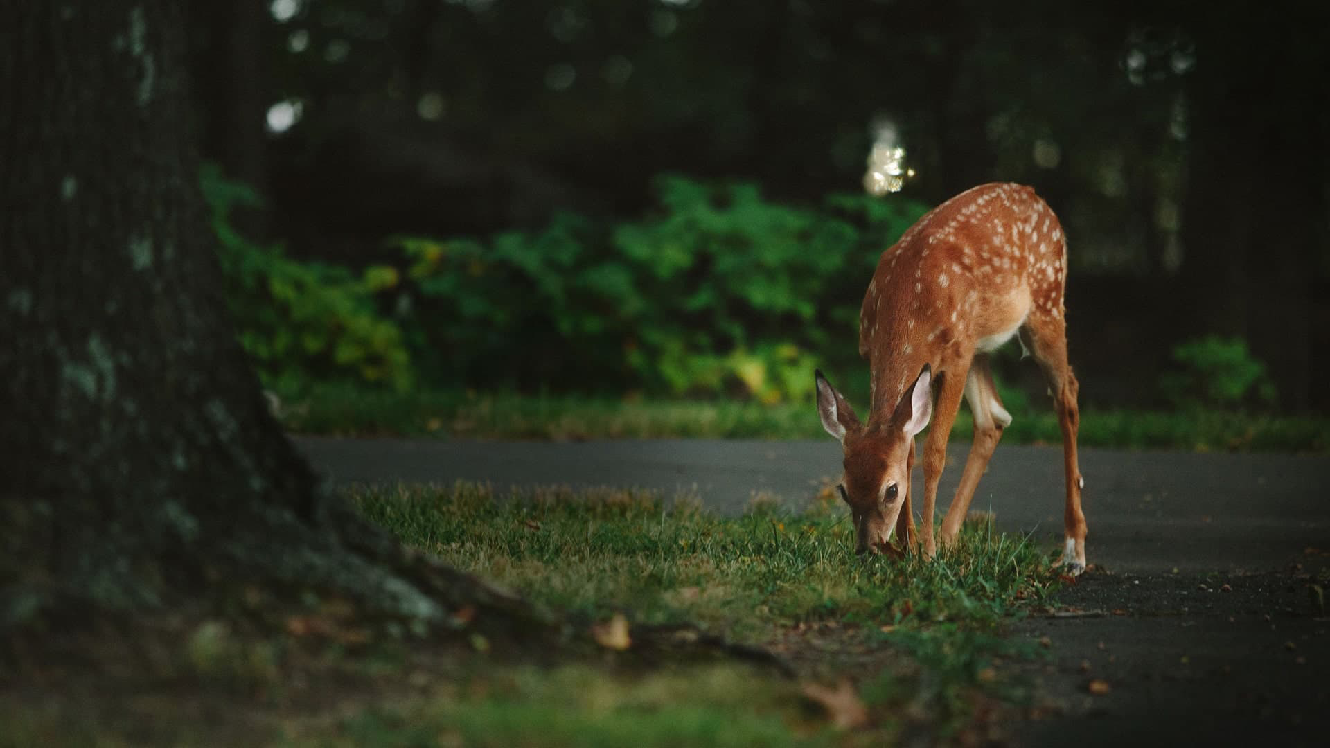 Interactive Slide 02